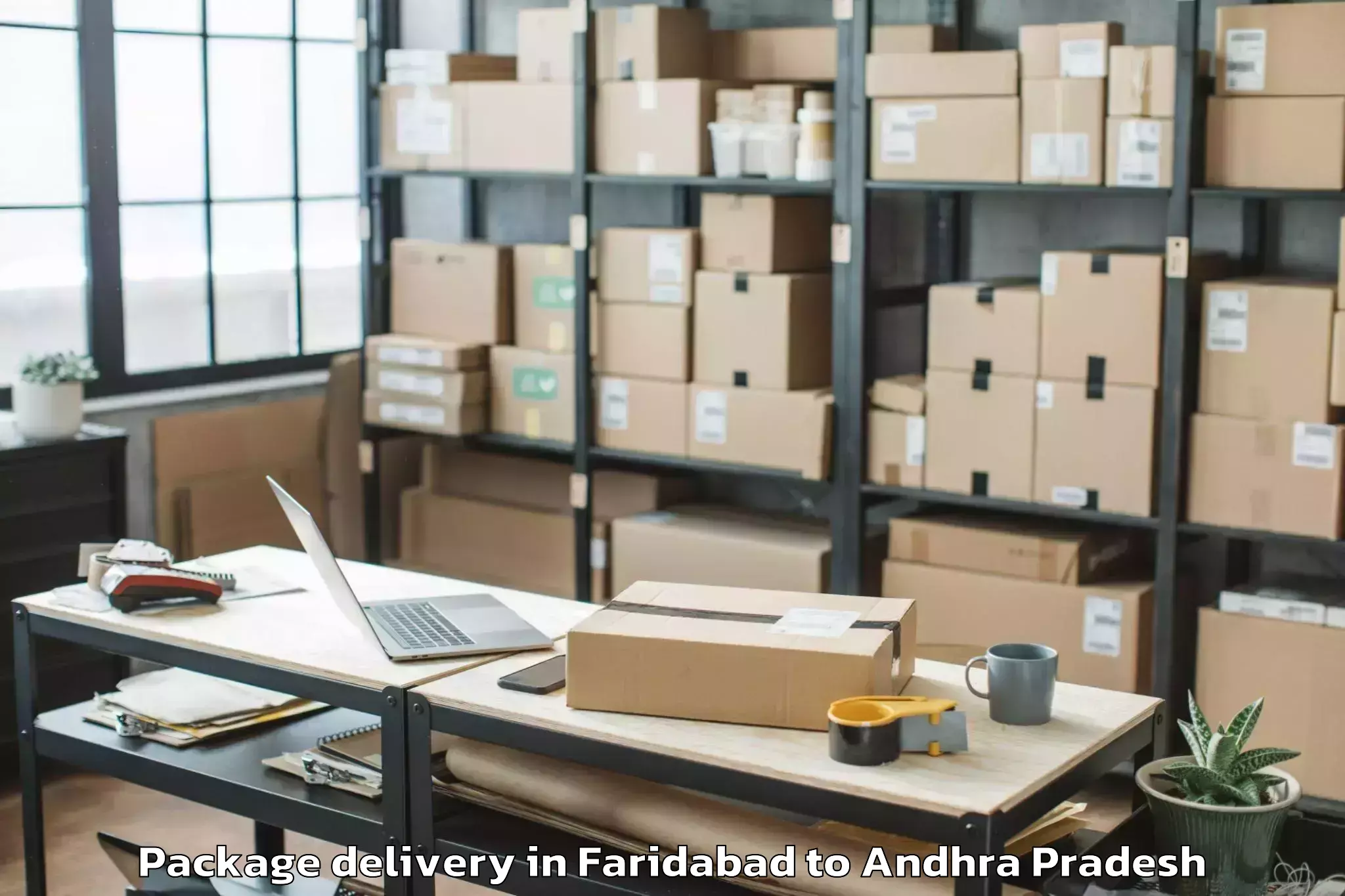 Easy Faridabad to Rapur Package Delivery Booking